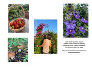 Подведены итоги фотоконкурса «Летнее фото с историей». Подведены итоги фотоконкурса «Летнее фото с историей».